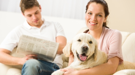 Free household budget template