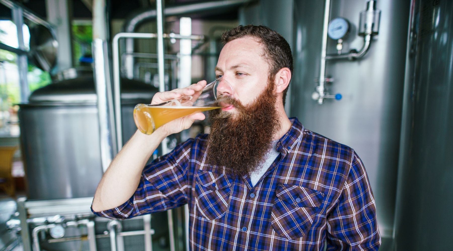 The cost of a pint of beer around the world