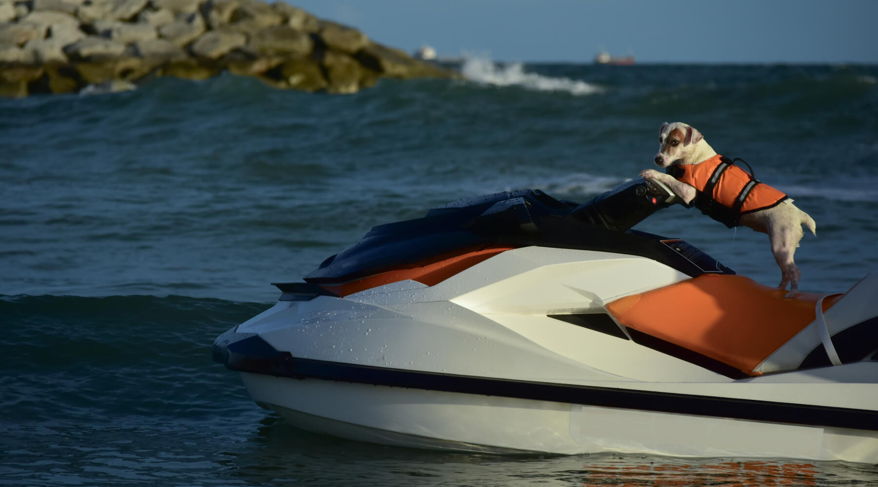 Compare unsecured personal loans – let your credit score do the talking