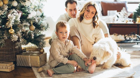 Barking mad: Aussies expected to spend over $1 billion on their pets this Christmas