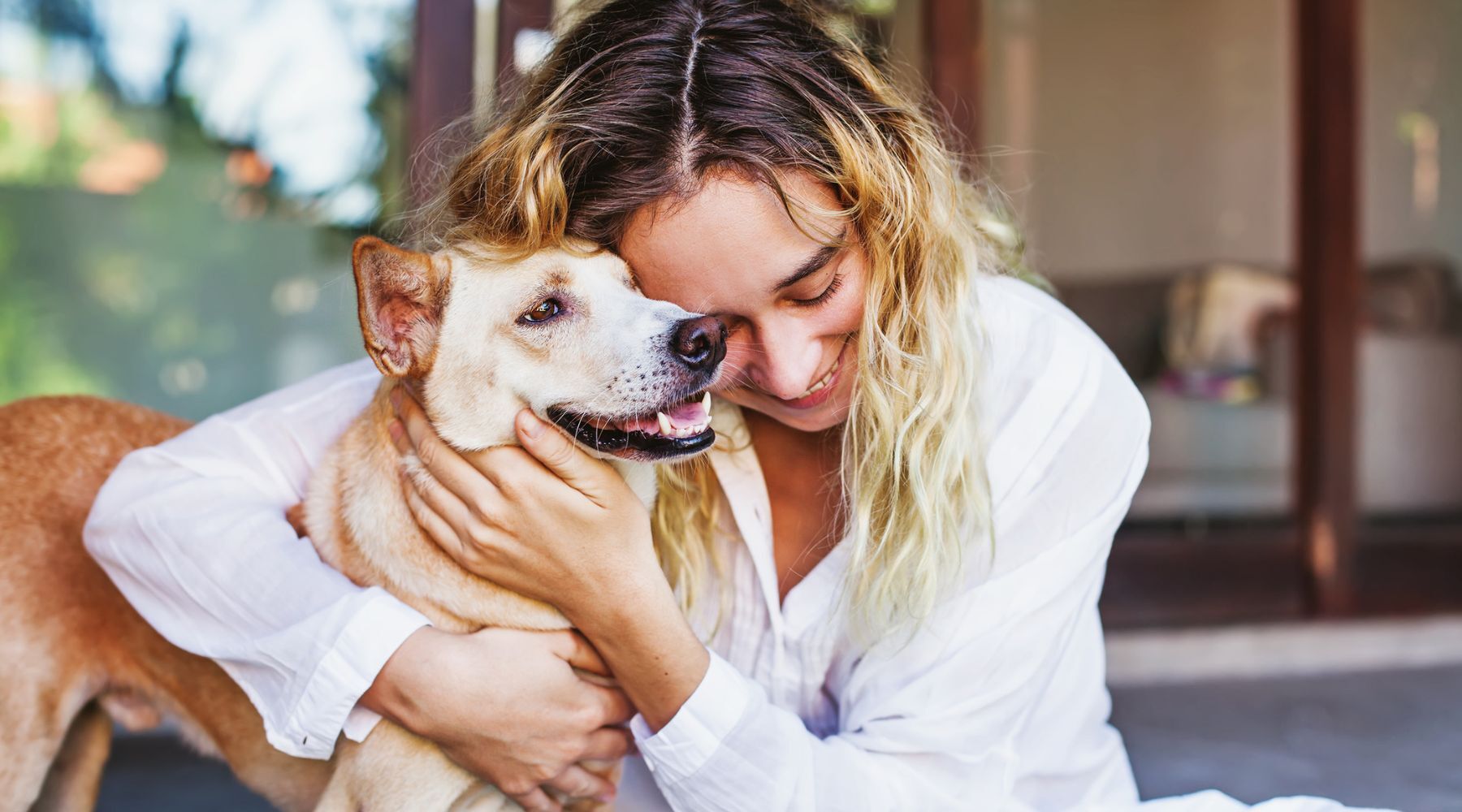 The $100 cashback offer every pet owner needs to know about | Finder