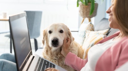 Is TikTok ruining your pet’s diet? What vets wish you knew
