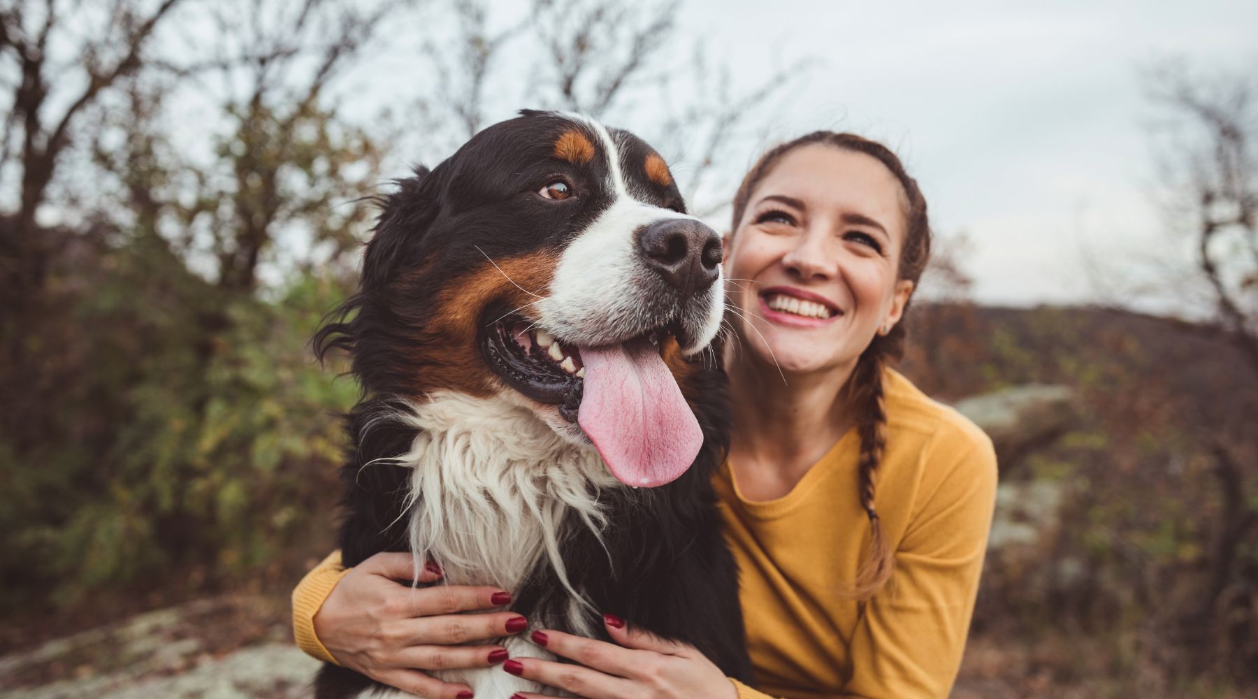 Get 15% off specialised cover for extraordinary pets with Petcover Australia