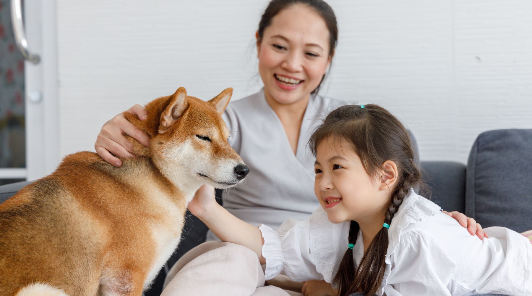 3 ways to avoid a cost crunch on pet insurance