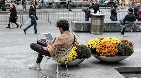 The Average New Yorker