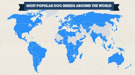 The most popular dog breeds around the world