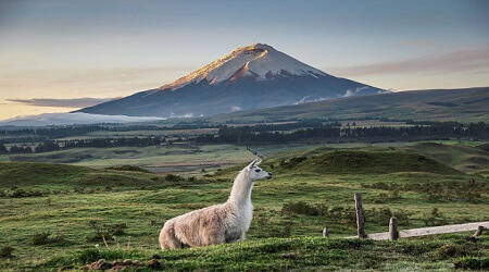Cómo ahorrar en comisiones al enviar dinero a Ecuador