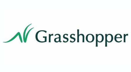 Grasshopper Accelerator Money Market Savings Account Review