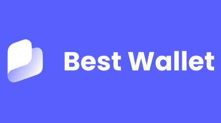 Best Wallet Review 2025