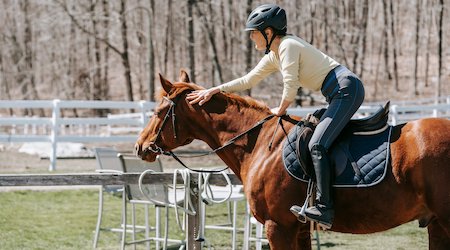Best Personal Loans for a Horse in 2026