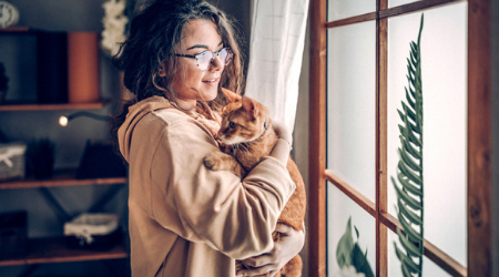 Cat insurance