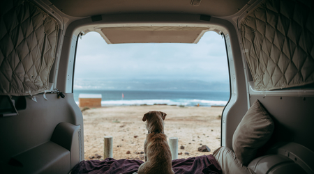 Is it illegal to sleep in your car?