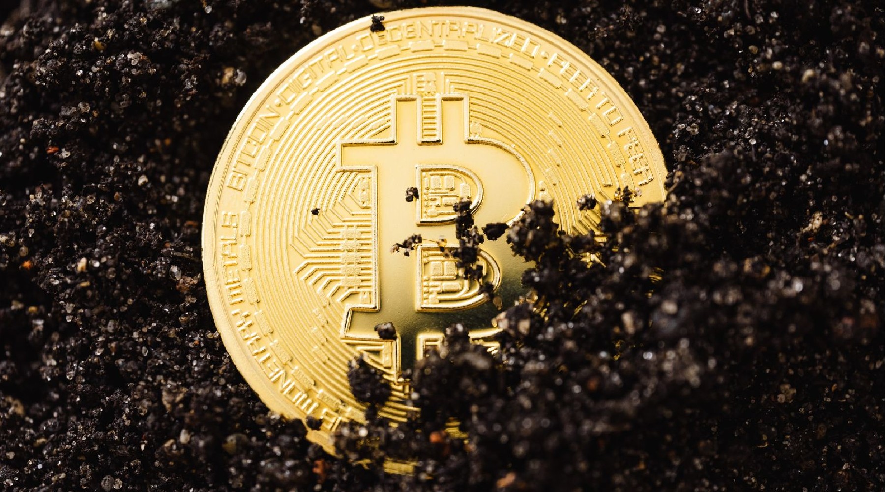 What Is Yield Farming And How Does It Work? | Finder