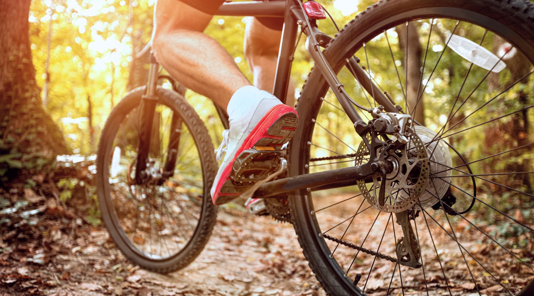 5 Bicycle Stocks to Watch in 2026 | Finder Canada