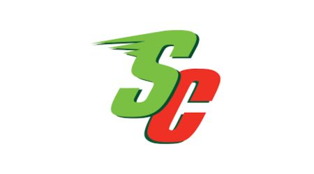 Loans like Speedy Cash