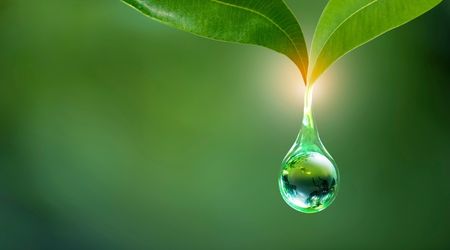 Green investments: 4 ways to invest with impact
