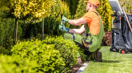 Options and costs for financing landscaping projects