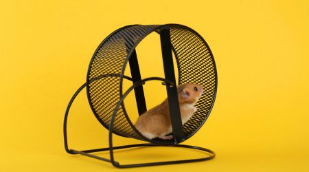 6 financial traps keeping you stuck & frustrated (and how to escape)