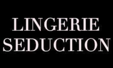 Lingerie Seduction